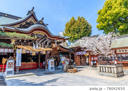 春の櫛田神社　福岡県博多区 76042650