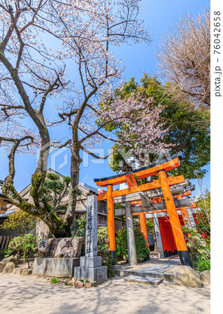春の櫛田神社(注連掛稲荷神社)福岡県博多区 春の櫛田神社(注連掛稲荷神社)福岡県博多区 76042658