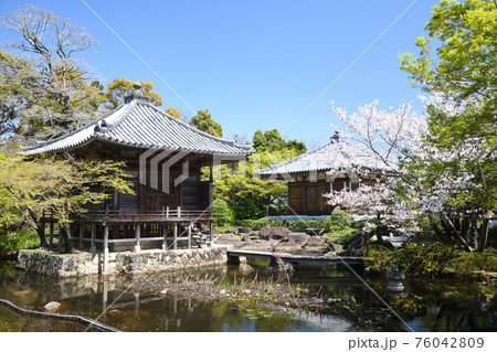 高山寺　薬師堂(左)と新薬師堂(右)　[和歌山県田辺市] 76042809