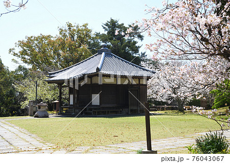 高山寺　桜と不動堂　[和歌山県田辺市] 76043067