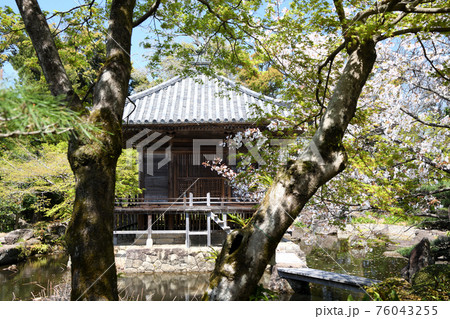 高山寺　薬師堂　[和歌山県田辺市] 76043255