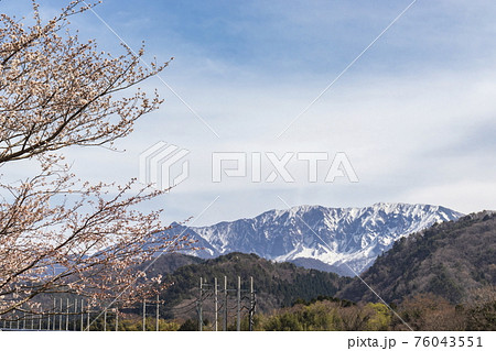 桜と名峰大山と空 桜と名峰大山と空 76043551