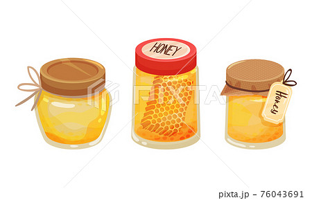 Glass Jar with Sugary Honey Fluid and Honeycomb Vector Set 76043691