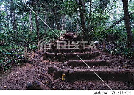 高尾山 六号路登山道 76043919