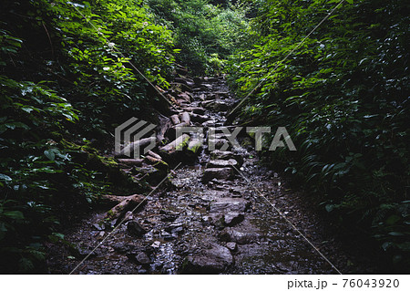 高尾山 六号路登山道 高尾山 六号路登山道 76043920