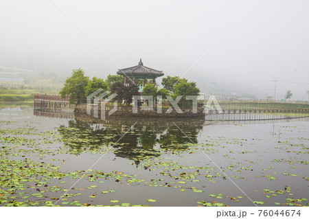 池 貯水池 霧 76044674