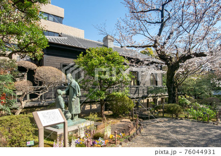 東京都港区、乃木神社と乃木公園の満開の桜 76044931