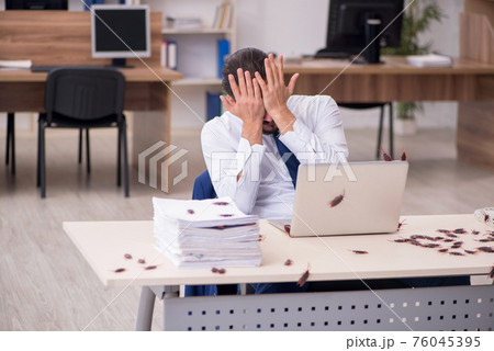 Young male employee and too many cockroaches in the office 76045395