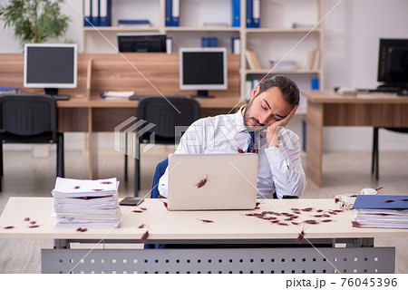 Young male employee and too many cockroaches in the office 76045396