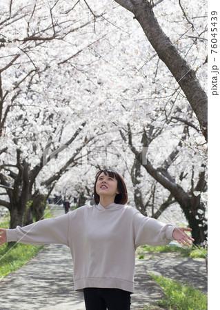 桜並木をバックに 桜並木をバックに 76045439