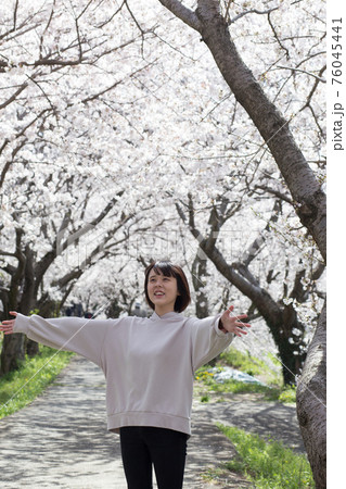 桜並木をバックに 桜並木をバックに 76045441