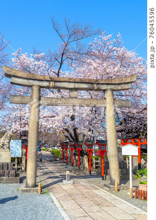 春の六孫王神社 春の六孫王神社 76045596