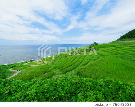 能登半島の千枚田(晴れた夏) 能登半島の千枚田(晴れた夏) 76045653