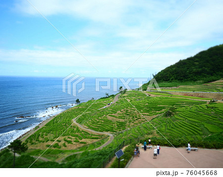 能登半島の千枚田（晴れた夏） 76045668