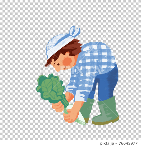 一個人在收割蘿蔔 76045977