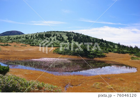 青森県 湿原展望台から草紅葉の田茂萢湿原を望む 青森県 湿原展望台から草紅葉の田茂萢湿原を望む 76046120