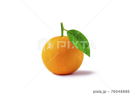 Oranges fruits with high vitamin C and green leaves, isolated on a white background with the clipping path. 76048886