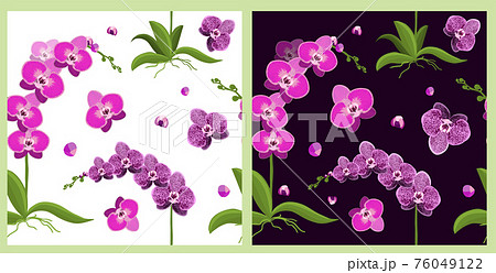Seamless light and dark background with pink orchids. Delicate beautiful flower. Vector illustration 76049122