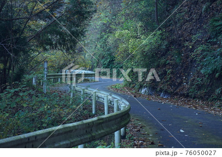 日陰に延びるくねくね道 76050027