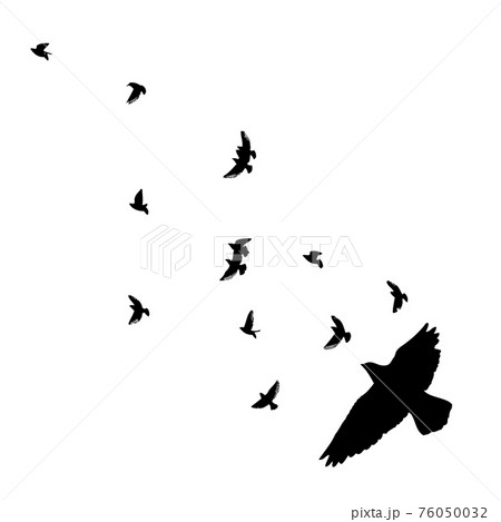 A flock of flying birds. Vector illustration 76050032