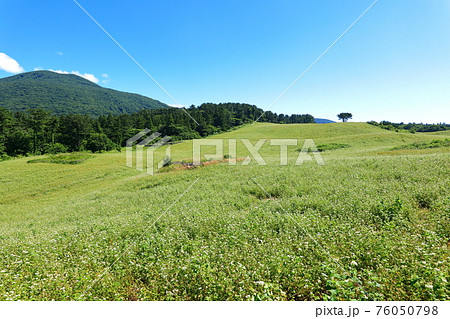 山 丘 原野 76050798