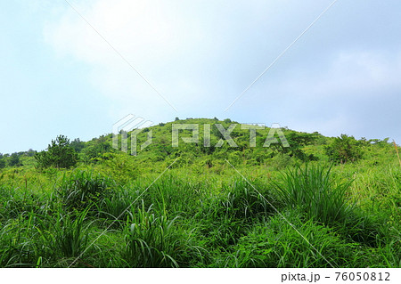 山 竹 原野 76050812