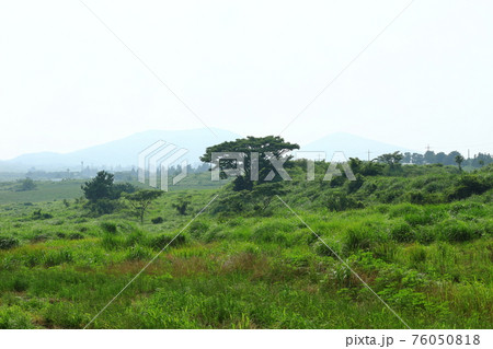 山 丘 原野 76050818