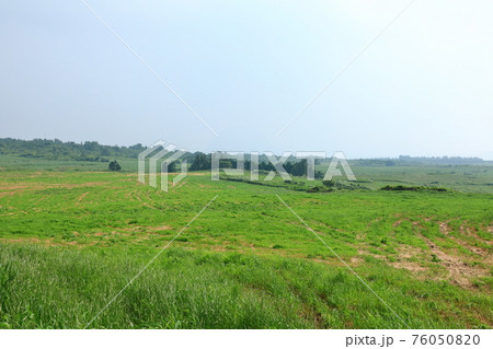 丘 原野 草原 76050820