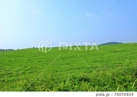 丘 原野 草原 76050839