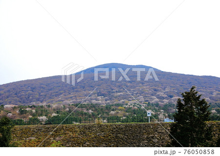 道路 桜 山 76050858