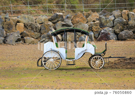 道路 原野 一本道 76050860