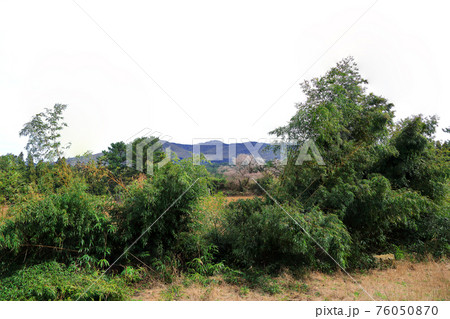 花 山 木 76050870