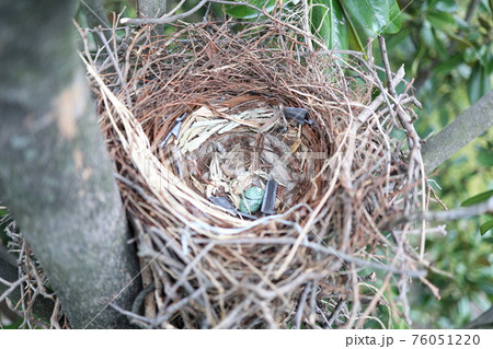 Crow's nest - Stock Photo [76051220] - PIXTA