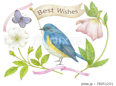 小鳥とお花 小鳥とお花 76051231