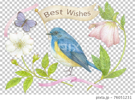 小鳥とお花 小鳥とお花 76051231