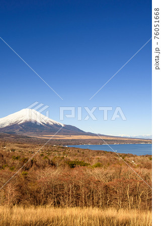 快晴の空と原始林と富士山 快晴の空と原始林と富士山 76051668