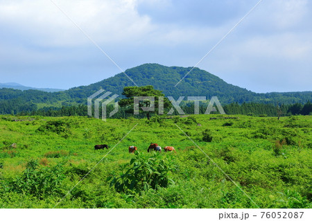 原野 牧場 牧草 76052087