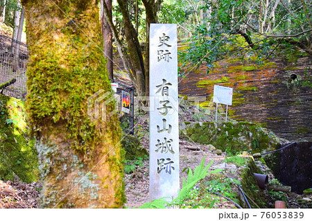 有子山城【続日本100名城】 76053839