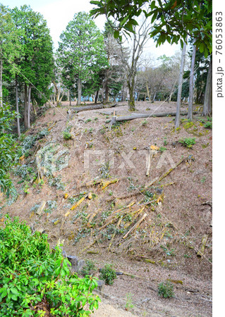 有子山城【続日本100名城】 有子山城【続日本100名城】 76053863