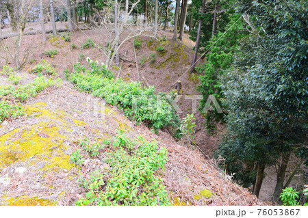 有子山城【続日本100名城】 有子山城【続日本100名城】 76053867