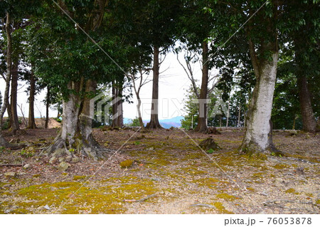 有子山城【続日本100名城】 有子山城【続日本100名城】 76053878