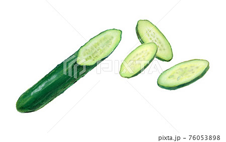 きゅうり 野菜 イラストのイラスト素材
