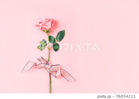 Beautiful rose of pink color against a pink background. Free space for text Beautiful rose of pink color against a pink background. Free space for text 76054211