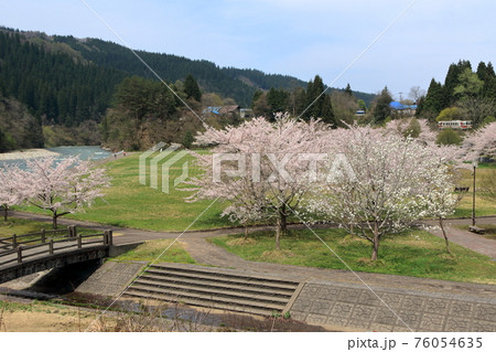 秋田内陸縦貫鉄道の春(AN-8800型車両) 76054635