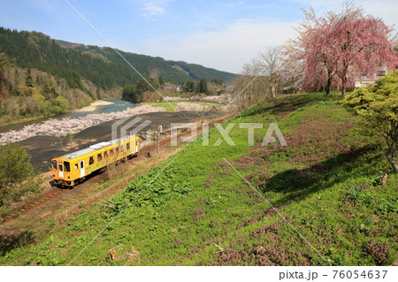 秋田内陸縦貫鉄道の春(AN-8800型車両) 76054637