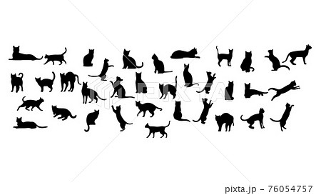 ペット シルエット 影絵 ネコ 猫 ニャンちゃん キャット Cat かわいい 家族 動物 アニマルのイラスト素材