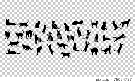 ペット、シルエット、影絵、ネコ、猫、ニャンちゃん、キャット、cat、かわいい、家族、動物、アニマル ペット、シルエット、影絵、ネコ、猫、ニャンちゃん、キャット、cat、かわいい、家族、動物、アニマル 76054757