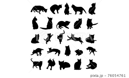 ペット シルエット 影絵 ネコ 猫 ニャンちゃん キャット Cat かわいい 家族 動物 アニマルのイラスト素材