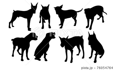 ペット シルエット 影絵 イヌ 犬 ワンちゃん ドッグ Dog かわいい 癒し 家族 動物 アニマルのイラスト素材