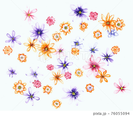 透明水彩 水彩画 花 76055094